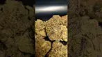 SUNDAZE MODIFIED GRAPE (UK PRESCRIPTION MEDICATION)