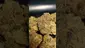 Video Thumbnail: PrescribedBouquet