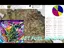 Video Thumbnail: AAA Skunk