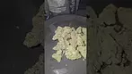 Lot420 AAAA Gelato 33 UK Medical Flower First Impressions