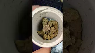 HEXACAN HEXA03 PURPLE PUNCH ( UK PRESCRIPTION MEDICATION)