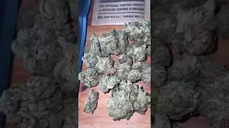 Grow pharma - vanilla ice 