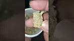 Gary Payton, U  Medical Cannabis⚕Flower,By Grow Pharma, Review