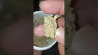 Gary Payton, U  Medical Cannabis⚕Flower,By Grow Pharma, Review