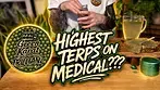Green Karat Trillianz  | The Numbers Are Mad