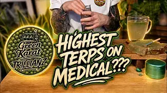 Green Karat Trillianz  | The Numbers Are Mad