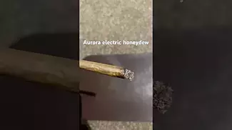 Aurora T26 electric honeydew burn
