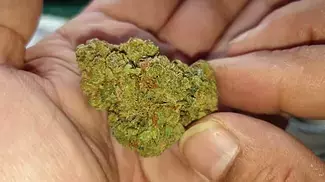 Green Gelato Noidecs T23 UK Medical Prescription Review