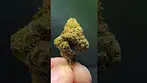 Gas Cake 30%thc