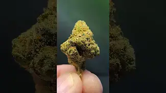 Gas Cake 30%thc