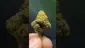 Video Thumbnail: THC Bunny