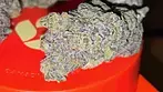 Medical Cannabis Flower - Superseed Gelato Cheescake T28 - CLOSEUP 