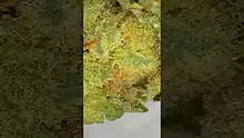 UK and Legal Video Thumbnail