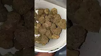 Adven Cura-T11, L.A Kush  Unpackaging Review 