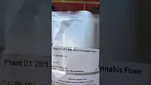 DumbYout Video Thumbnail
