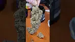 Good Supply Reserve Cherry Cheesecake 7.1g bud