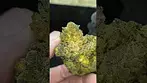 PAVE34...Nug inspection