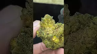 PAVE34...Nug inspection