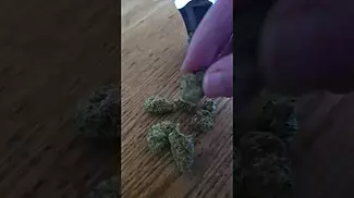 All Nations GM - 104 Mac Doughnut UK Medical Cannabis review