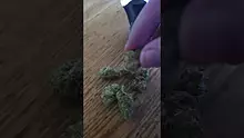 MumMedCanUK Video Thumbnail