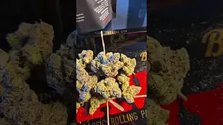 AAAA GELATO 33. THC 26%