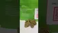 Video Thumbnail: Medical UK Cannabis