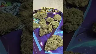 High Greens : lemon Diesel Fritter