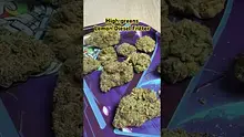 Doc Green Bud Video Thumbnail