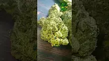 VIP THC Video Thumbnail