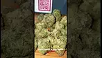Curaleaf GG4 T23 Gorilla Glue #4 Medical Cannabis review