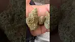 Miracle valley Mac 1+ 25%thc uk medical flower