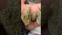 Baked Pasta Video Thumbnail