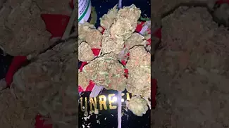 Grow strawberry glue 22%THC