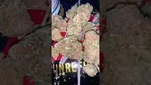 Casper Video Thumbnail