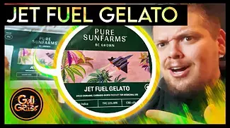 Pure Sunfarms Jet fuel Gelato - Medical Cannabis  Review