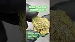 Big Narstie Medical: Rainbow Sherbet (A closer look & Terp breakdown)