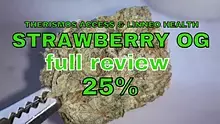 Smacksalad Video Thumbnail