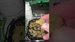 Cann FX Cirrus T28 | Dosi Cake First Look 
