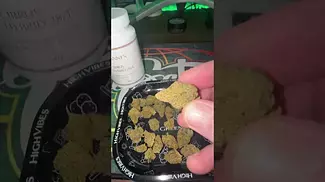 Cann FX Cirrus T28 | Dosi Cake First Look 