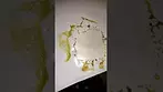 SLURRICANE MINT | Plantations Ceres, Portocanna & Cantourage | PRESS TEST