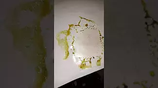 SLURRICANE MINT | Plantations Ceres, Portocanna & Cantourage | PRESS TEST