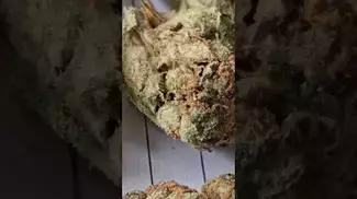 FOUR20 PHARMA - Black Cherry Punch (BCP) (UK Medical Cannabis Prescription)
