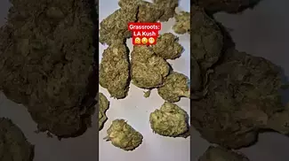 Grassroots - LA Kush (T29%)(UK Medical Cannabis Prescription)