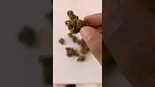 My Medical 420 Video Thumbnail