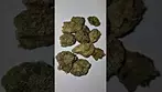 Kiron Hindu kush medical cannabis
