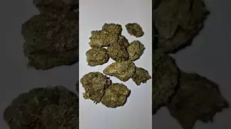 Kiron Hindu kush medical cannabis
