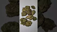 Welcome to the Press Video Thumbnail