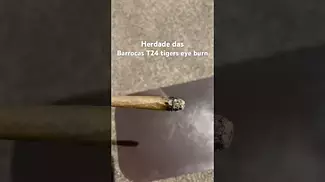 Herdade das Barrocas T24 tigers eye burn
