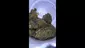 Video Thumbnail: Cannabaz