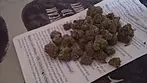Big Narstie x Carbon Fibre Buds Look Medical Cannabis